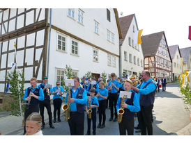 Fronleichnamsprozession durch die Straßen von Naumburg (Foto: Karl-Franz Thiede)